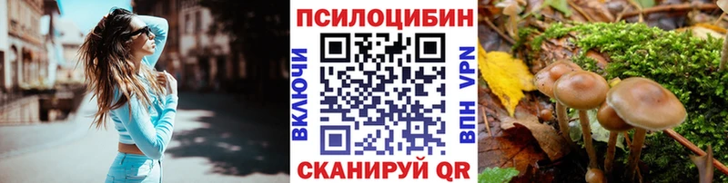 Псилоцибиновые грибы MAGIC MUSHROOMS  Зея 